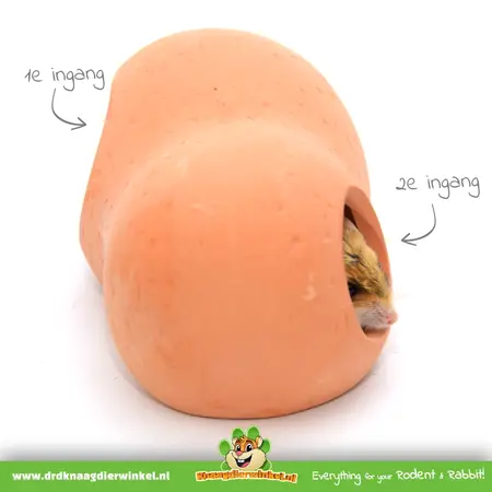 Domek z terakoty 21 cm dla gryzoni!