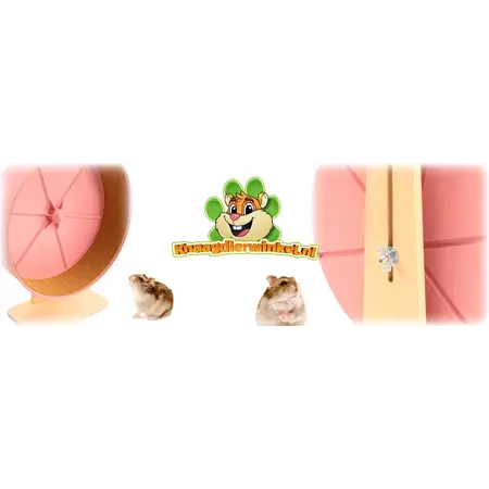 Getzoo Roue d'exercice en plastique avec support en bois et liège 27 cm