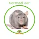 Rata domesticada