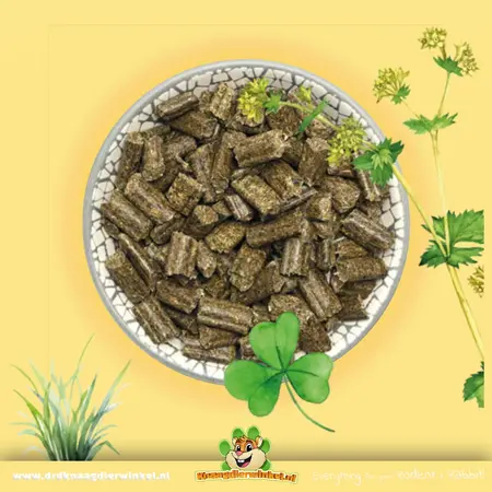 Bunny Nature Bunny Nature KonijnenDroom BASIC: Alleinfuttermittel mit 63 Pflanzen und 3 Ballaststoffarten