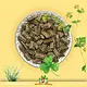Bunny Nature Bunny Nature KonijnenDroom BASIC: Alleinfuttermittel mit 63 Pflanzen und 3 Ballaststoffarten