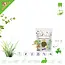 Bunny Nature Bunny Nature Rabbit Dream BASIC: complete basic food with 63 plants & 3-fiber mix