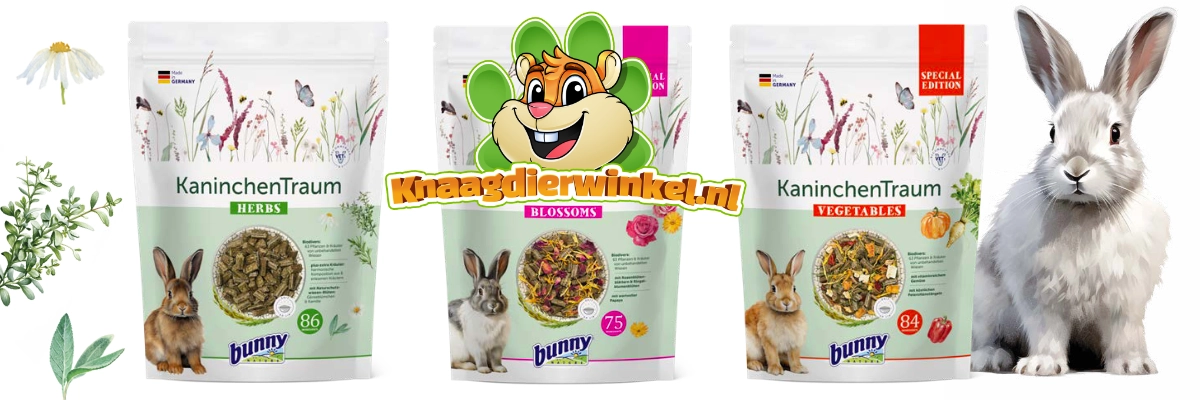 Bunny Nature Rabbit Dream Comida básica para conejos