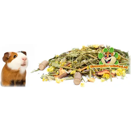 Knaagdier Kruidenier Foerageer Menu Cavia 400 gram