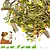 Knaagdier Kruidenier Foraging Menu Guinea Pig 400 grams