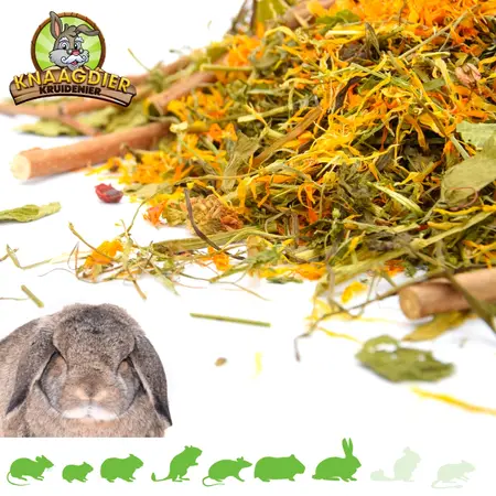 Knaagdier Kruidenier Menu fourrager Lapin 400 grammes