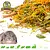 Knaagdier Kruidenier Foerageer Menu Konijn 400 gram