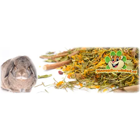 Knaagdier Kruidenier Futtersuche-Menü Kaninchen