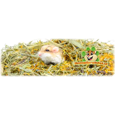 Knaagdier Kruidenier Mélange de fibres à base de plantes