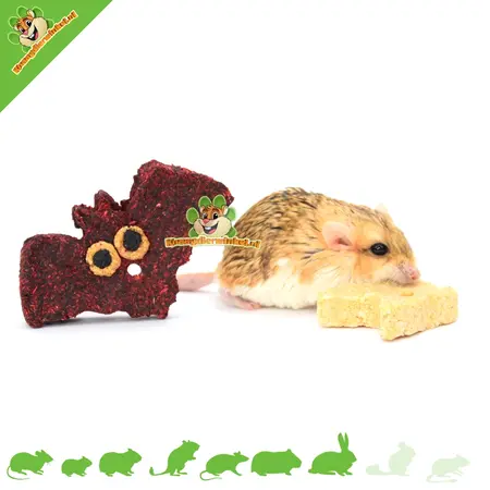 Straszne przekąski na Halloween dla gryzoni i królików