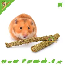 Gnawing Wood Hazelnut with Clover & Strawberry Leaf