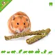 Gnawing Wood Hazelnut with Clover & Strawberry Leaf