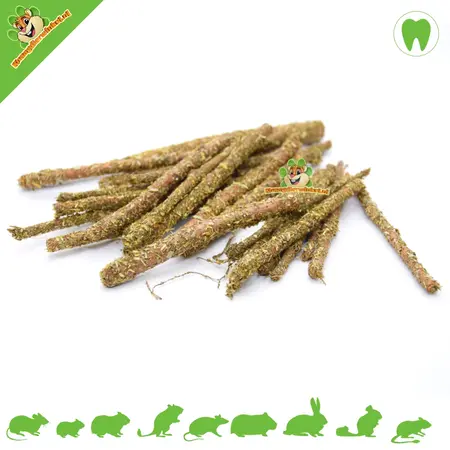 Gnawing Wood Hazelnut with Clover & Strawberry Leaf