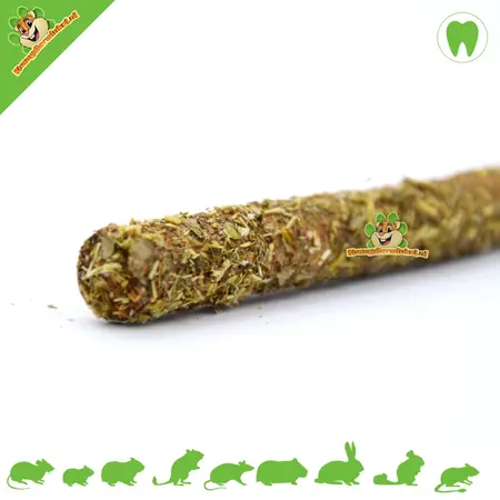 Gryzienie orzecha laskowego z liściem koniczyny i truskawki