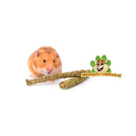 Bois à mâcher noisette avec trèfle et feuille de fraisier