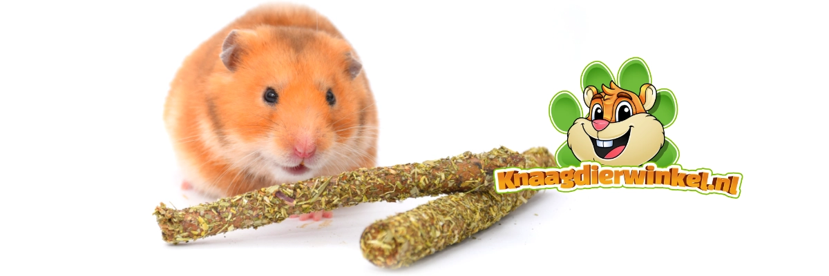 gnawing wood hazelnut with clover strawberry leaf