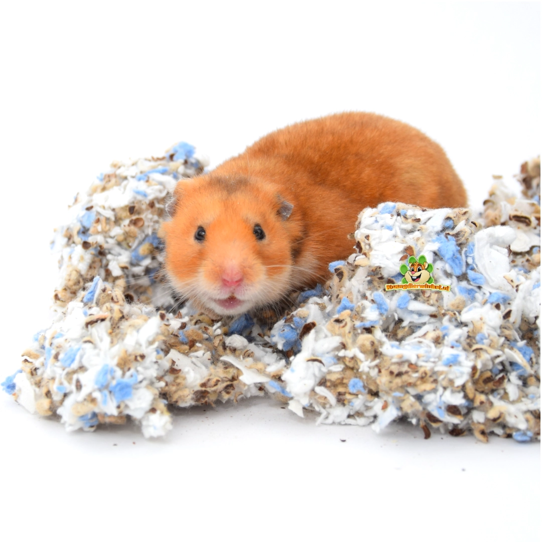 Hamster-Nistmaterial