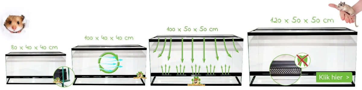terrarium hamster gerbil gerbilarium