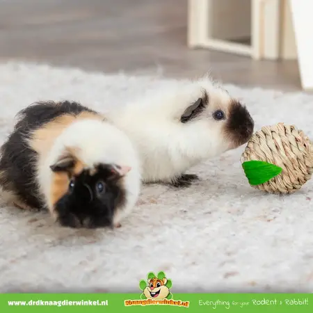 Trixie Juguete para Conejos y Roedores de Hierba 7 cm