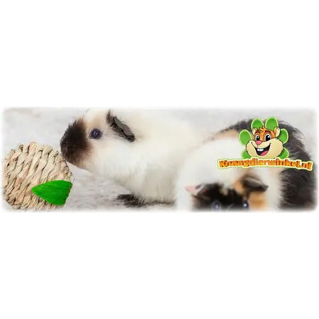 Trixie Juguete para Conejos y Roedores de Hierba 7 cm