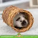 Trixie Woven Willow Tunnel for Rodents & Rabbits