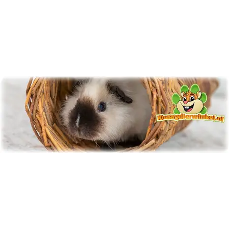 Trixie Geflochtener Weidentunnel