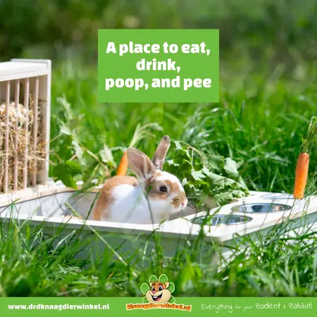 Trixie Feeding station Guinea pig & rabbit 70 cm