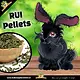 Knaagdier Kruidenier Rui Pellets 200 grams