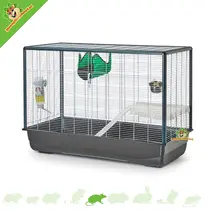 Jaula para ratas Zeno 3 Knock Down 100 x 50 x 70 cm