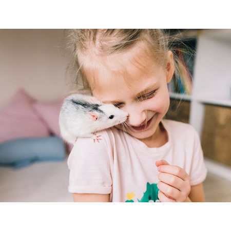 Savic Rattenkäfig Zeno 4 Knock Down 118 x 64,5 x 83,5 cm