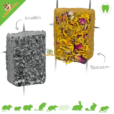 JR Farm Brique d'argile naturelle / Brique de terre crue pour rongeurs et lapins