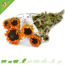 Dried Sunflower