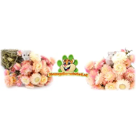 Knaagdier Kruidenier Fleurs de pivoine séchées rose clair