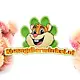 Knaagdier Kruidenier Gedroogde Strobloemen Licht Roze