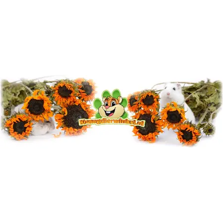 Knaagdier Kruidenier Dried Sunflower Harvest for Hamscaping