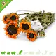 Knaagdier Kruidenier Dried Sunflower Harvest for Hamscaping