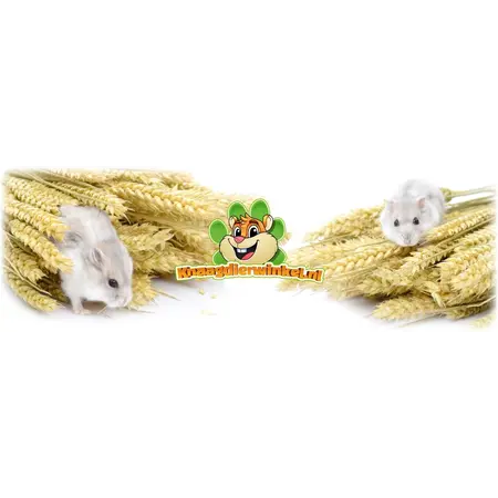 Knaagdier Kruidenier Green Wheat Ears Harvest 250 grams for rodents & birds