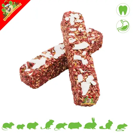 JR Farm Kerstboom & Sticks voor Knaagdieren en Konijnen!