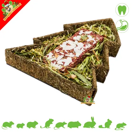 JR Farm Christmas Tree & Sticks for Rodents and Rabbits!