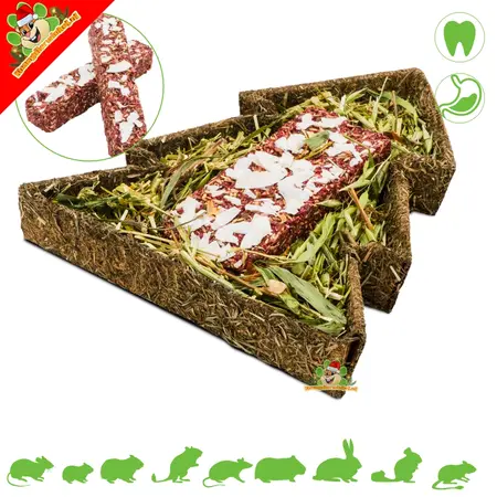 JR Farm Weihnachtsbaum und Stöcke für Nagetiere und Kaninchen!