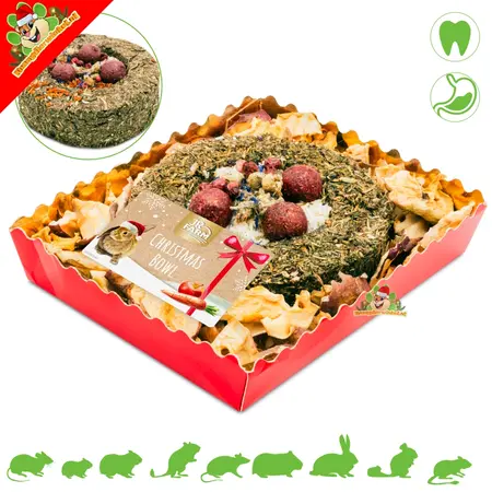 JR Farm ¡Cuenco navideño para roedores y conejos!