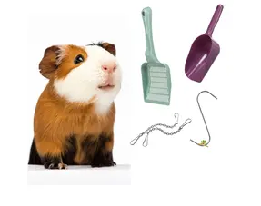 Accessoires pour cages à cochons d'Inde