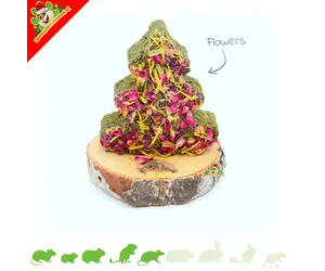 mr-crumble-grain-free-nibble-