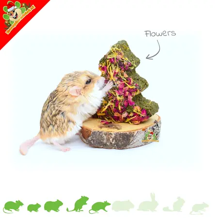 Mr Crumble Grain Free Nibble Christmas Tree 9cm