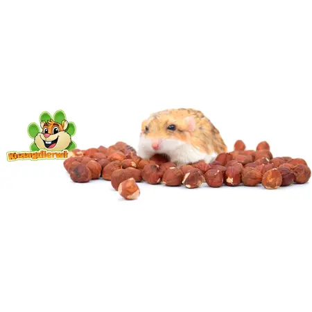 Knaagdier Kruidenier Hazelnuts