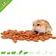 Knaagdier Kruidenier Almendras