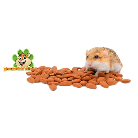 Knaagdier Kruidenier Almendras
