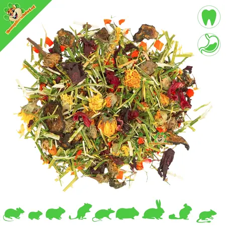 JR Farm Seau magique d'automne pour rongeurs et lapins