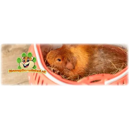 Trixie Transportbox Pico 30 cm