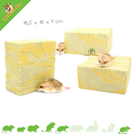 Blocs de construction pour l'aménagement d'un hamster